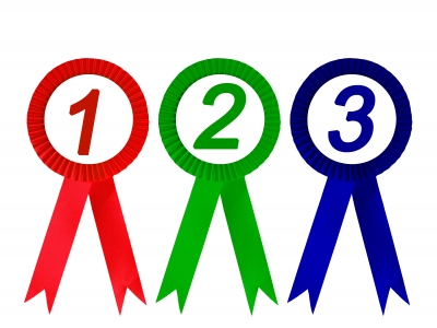 picture of winners' rosettes