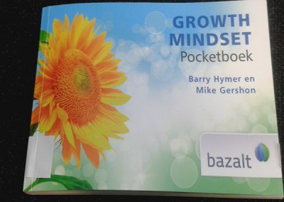 Dutch edition of Growth Mindset